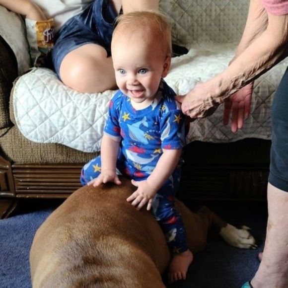 Meet your Posher, Darelene - Picture 1 of 1